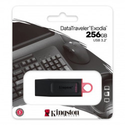 256 GB Memoria USB EXODIA
