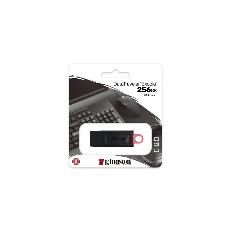 256 GB Memoria USB EXODIA