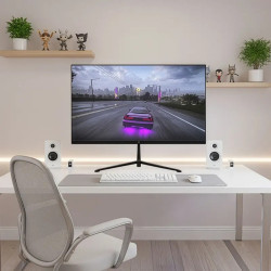 Monitor 24" / 240 Hz / YMF-FP24-M1