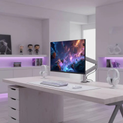 Monitor 24" / 240 Hz / YMF-FP24-M1