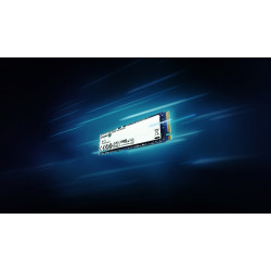 1 TB UNIDAD DE ESTADO SOLIDO M.2 2280  SNV3S/1000G