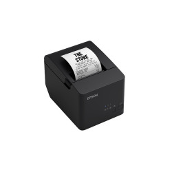 Impresora Térmica TMT20IIIL-001