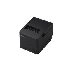 Impresora Térmica TMT20IIIL-001